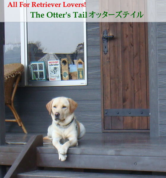 The Otter's Tailオッターズテイル